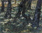 Vincent Van Gogh Undergrowth oil on canvas